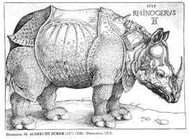 Affiche du parti politique "Rhinocros"