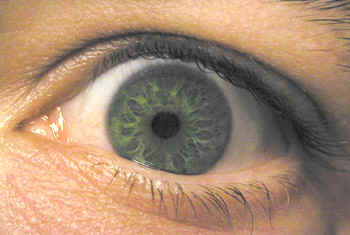 Texture des cils et de l'iris de l'oeil